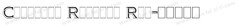Citation Regular Reg字体转换